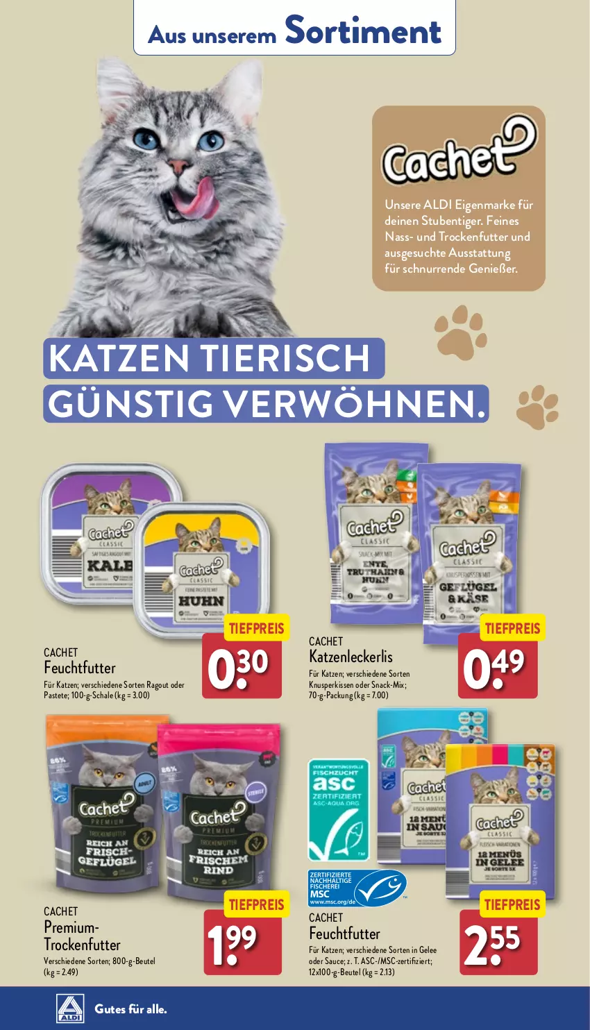 Aktueller Prospekt Aldi Nord - Von Montag - von 05.08 bis 10.08.2024 - strona 36 - produkty: aldi, beutel, eis, gelee, kissen, pastete, Ragout, reis, sauce, Schal, Schale, snack, stube, Ti, tiefpreis, trockenfutter