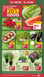 Gazetka promocyjna Aldi Nord - Von Montag - Gazetka - ważna od 10.08 do 10.08.2024 - strona 27 - produkty: aldi, angebot, aubergine, beere, beeren, Blüte, bohne, bohnen, Brei, Container, eis, Elan, gin, himbeer, himbeere, himbeeren, kiwi, kulturtopf, lavendel, melone, pflanze, pflanzen, reis, Ria, Schal, Schale, Ti, topf, wasser, wassermelone, zespri, ZTE