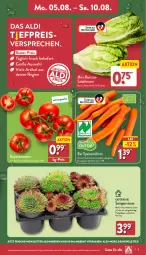 Gazetka promocyjna Aldi Nord - Von Montag - Gazetka - ważna od 10.08 do 10.08.2024 - strona 3 - produkty: aldi, angebot, beutel, bio, Blüte, Brei, eis, gin, möhren, reis, rispentomaten, salat, salatherzen, Sempervivum, speisemöhren, Ti, tomate, tomaten, trolli, ZTE