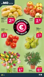 Gazetka promocyjna Netto - Angebote ab Montag - Gazetka - ważna od 01.05 do 01.05.2022 - strona 2 - produkty: Birnen, eis, Frühkartoffeln, kartoffel, kartoffeln, speisefrühkartoffeln, Ti, tomate, tomaten, topf, Vase