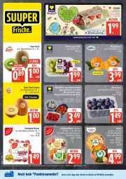 Gazetka promocyjna Edeka - Prospekte - Gazetka - ważna od 12.09 do 12.09.2026 - strona 4 - produkty: beere, beeren, bley, dressing, Elan, erdbeere, erdbeeren, früchte, jumbo, Käse, kiwi, Kiwi Gold, LG, payback, pesto, salat, salate, Schal, Schale, schinken, tafeläpfel, tesa, Ti, zespri
