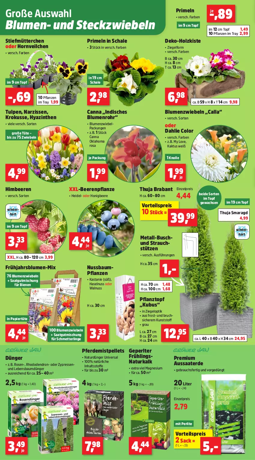 Aktueller Prospekt Thomas Philipps - von 23.02 bis 28.02.2026 - strona 4 - produkty: Bau, beere, beeren, blume, blumen, dahlie, dünger, eis, elle, erde, haselnuss, himbeer, himbeere, himbeeren, Holz, honig, magnesium, Mett, Narzissen, natur, nuss, papier, Papiertüte, Pellets, pflanze, pflanzen, Pflanztopf, Primeln, Rauch, reis, rosen, sac, Schal, Schale, Schmetterling, Ti, topf, Tüte, vorteilspreis, walnuss, zwiebel, zwiebeln