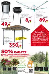 Gazetka promocyjna  - Gazetka - ważna od 08.08 do 08.08.2026 - strona 3 - produkty: beispielabbildung, decke, dip, edelstahl, eis, Feigen, grill, grillrost, leine, LG, olive, oliven, pavillon, pflanze, pflanzen, Ti, wäschespinne