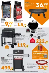 Gazetka promocyjna  - Gazetka - ważna od 08.08 do 08.08.2026 - strona 5 - produkty: auer, auto, Bau, beutel, briketts, buch, edelstahl, eis, feuerschale, gasgrill, grill, grillbriketts, grillrost, Holz, holzkohle, holzkohlegrill, Kohlegrill, messer, Reinigung, Ria, Roller, Schal, Schale, Ti, tomate, tomaten, uhr