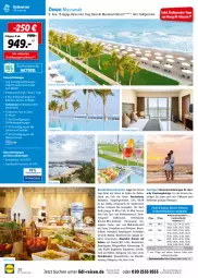 Gazetka promocyjna Lidl - Themenflyer Februar 2022 - Gazetka - ważna od 14.04 do 14.04.2022 - strona 20 - produkty: Bad, Bademantel, ball, bestpreis, buch, bügel, Bügeleisen, dusche, eier, eis, Fußball, getränk, getränke, inklusivleistungen, küche, LG, Mantel, pool, reis, reiseveranstalter, rezept, sana, schreibtisch, slip, Slipper, telefon, Ti, tisch, uhr, wasser, wellnessbereich, Whirlpool, zimmerbeispiel, ZTE