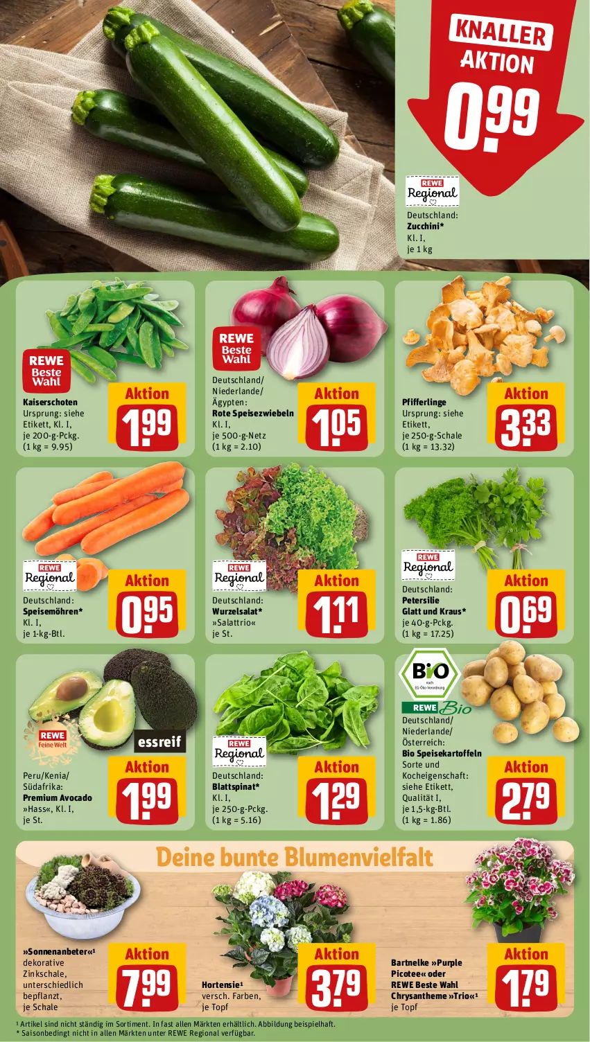 Aktueller Prospekt Rewe - Prospekte - von 12.08 bis 17.08.2024 - strona 7 - produkty: avocado, bio, blattspinat, blume, blumen, eis, hortensie, Kaiser, kartoffel, kartoffeln, möhren, petersilie, Pfifferlinge, rewe beste wahl, salat, Schal, Schale, speisekartoffeln, speisemöhren, Speisezwiebeln, spinat, tee, Ti, topf, zucchini, zwiebel, zwiebeln