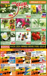 Gazetka promocyjna Norma - Norma - Gazetka - ważna od 05.02 do 05.02.2024 - strona 12 - produkty: Alpenveilchen, Alwa, apfel, auer, beere, beeren, beutel, blume, blumen, Blüte, champignon, champignons, chili, eis, elle, erde, erdnüsse, flasche, flieder, Gewächshaus, gurke, himbeer, himbeere, honig, Kaktee, Käse, Kinder, kinder riegel, kulturtopf, Ländertee, limo, mac, melone, melonen, mineralwasser, minze, mit röstzwiebeln, Narzissen, nudel, nudeln, orange, paprika, pfeffer, pfirsich, pflanze, pflanzen, reis, Ria, riegel, röstzwiebeln, salat, Salatgurke, salz, sauce, schinken, schlauch, Strohblume, tasse, tee, Ti, tomate, topf, übertopf, Vase, wasser, zwiebel, zwiebeln