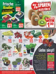 Gazetka promocyjna Edeka - Angebote der Woche - Gazetka - ważna od 11.06 do 11.06.2022 - strona 5 - produkty: ananas, beere, beeren, brombeere, brombeeren, deka, eis, ente, erdbeere, erdbeeren, frucht, Garten, gurke, gurken, himbeer, himbeere, himbeeren, kirsch, kirsche, kirschen, kiwi, kopfsalat, lavendel, magazin, obst, Obst und Gemüse, pflanze, pflanzen, reis, rispentomaten, rum, salat, Salatgurke, salatgurken, Schal, Schale, tafeltrauben, Ti, tomate, tomaten, topf, trauben, und gemüse, zespri, ZTE