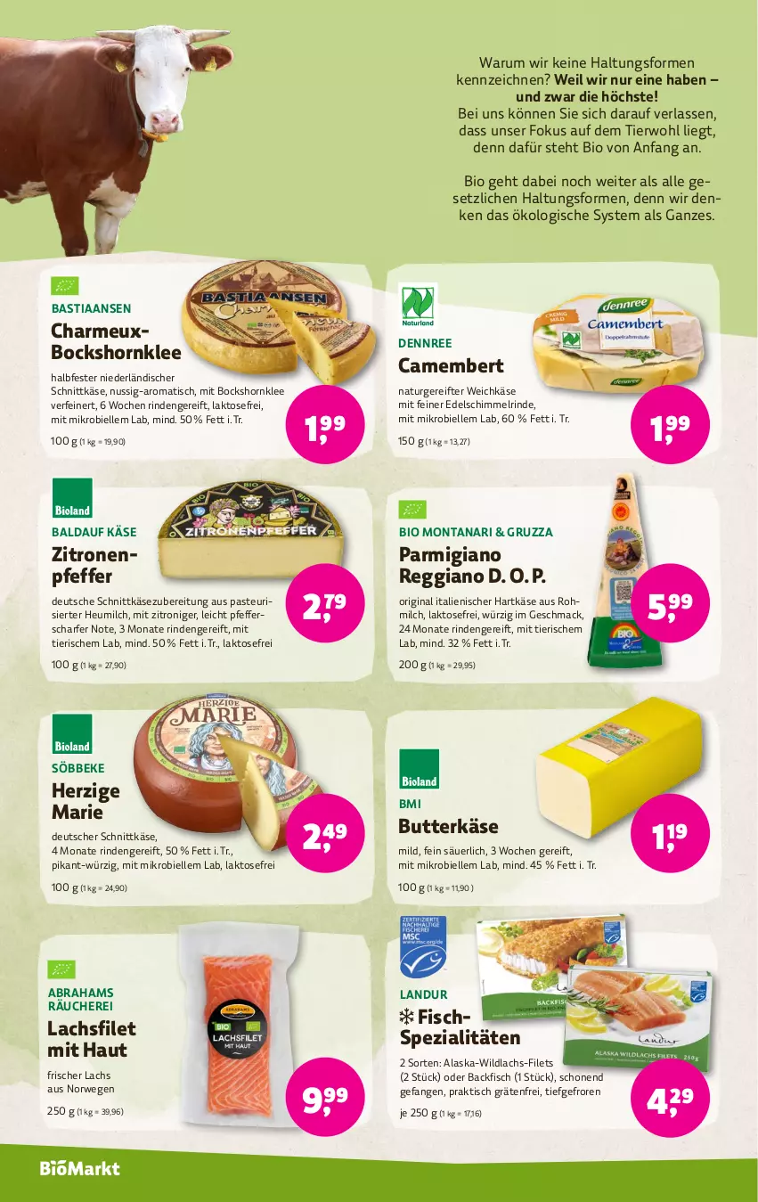 Aktueller Prospekt Denns Biomarkt - von 31.07 bis 13.08.2024 - strona 4 - produkty: asti, backfisch, bio, butter, butterkäse, camembert, dennree, deutscher schnittkäse, elle, filet, filets, fisch, Fischspezialitäten, gin, hartkäse, Heu, heumilch, italienischer hartkäse, Käse, lachs, lachsfilet, mac, milch, montana, natur, niederländischer schnittkäse, nuss, parmigiano, parmigiano reggiano, pfeffer, reggiano, rind, rum, rwe, schnittkäse, söbbeke, Spezi, Ti, tisch, weichkäse, Wild, wildlachs, zitrone, zitronen