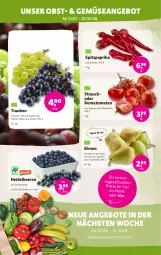 Gazetka promocyjna Denns Biomarkt - Gazetka - ważna od 13.08 do 13.08.2024 - strona 2 - produkty: angebot, angebote, beere, beeren, Birnen, eis, elle, heidelbeere, heidelbeeren, obst, paprika, Rauch, reis, Ria, Romatomaten, Schal, Schale, Spitzpaprika, tomate, tomaten, trauben, Yo