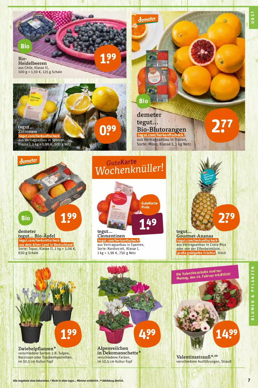 Aktueller Prospekt Tegut - Angebote der Woche - von 14.02 bis 19.02.2022 - strona 7 - produkty: Alpenveilchen, ananas, angebot, angebote, Bau, beere, beeren, bio, blume, blumen, Blutorange, clementinen, dekoration, eis, früchte, heidelbeere, heidelbeeren, Narzissen, obst, orange, orangen, pflanze, pflanzen, reis, Schal, Schale, Ti, topf, trauben, zitrone, zitronen, zwiebel