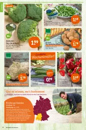Gazetka promocyjna Tegut - Angebote der Woche - Gazetka - ważna od 19.02 do 19.02.2022 - strona 6 - produkty: angebot, angebote, Bau, bio, bioland, brokkoli, dekoration, eis, elle, feldsalat, gurke, gurken, kartoffel, kartoffeln, kopfsalat, paprika, reis, salat, Schal, Schale, speisekartoffeln, Ti