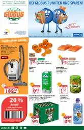 Gazetka promocyjna Globus - Prospekte - Gazetka - ważna od 05.02 do 05.02.2022 - strona 1 - produkty: alkohol, angebot, angebote, beutel, bier, bodensauger, braten, Cien, clementinen, coupon, elle, Engel, filet, fisch, fischtheke, flasche, gewürz, Gewürzgurke, gewürzgurken, gin, grapefruit, gurke, gurken, hengstenberg, Kuschelweich, lachs, lachsfilet, mandarine, mandarinen, milch, mw-flasche, Ofen, papier, payback, pils, premium pils, radler, Tchibo, Teleskop, Ti, Tiere, weichspüler