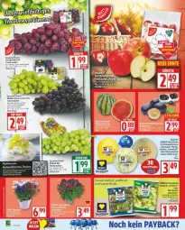 Gazetka promocyjna Edeka - Prospekte - Gazetka - ważna od 23.08 do 23.08.2025 - strona 2 - produkty: ball, beutel, deka, elle, ente, honig, honigmelone, kräuter, mac, melone, nuss, payback, salat, Salatmix, Schal, tafeltrauben, Ti, tisch, trauben