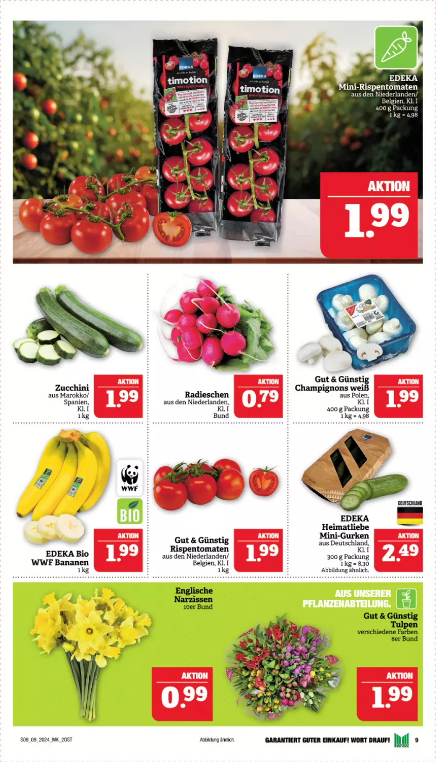 Aktueller Prospekt Marktkauf - Prospekt - von 25.02 bis 02.03.2024 - strona 9 - produkty: banane, bananen, bio, champignon, champignons, deka, edeka bio, gurke, gurken, LG, mini-gurken, radieschen, Ti, tomate, tomaten, zucchini