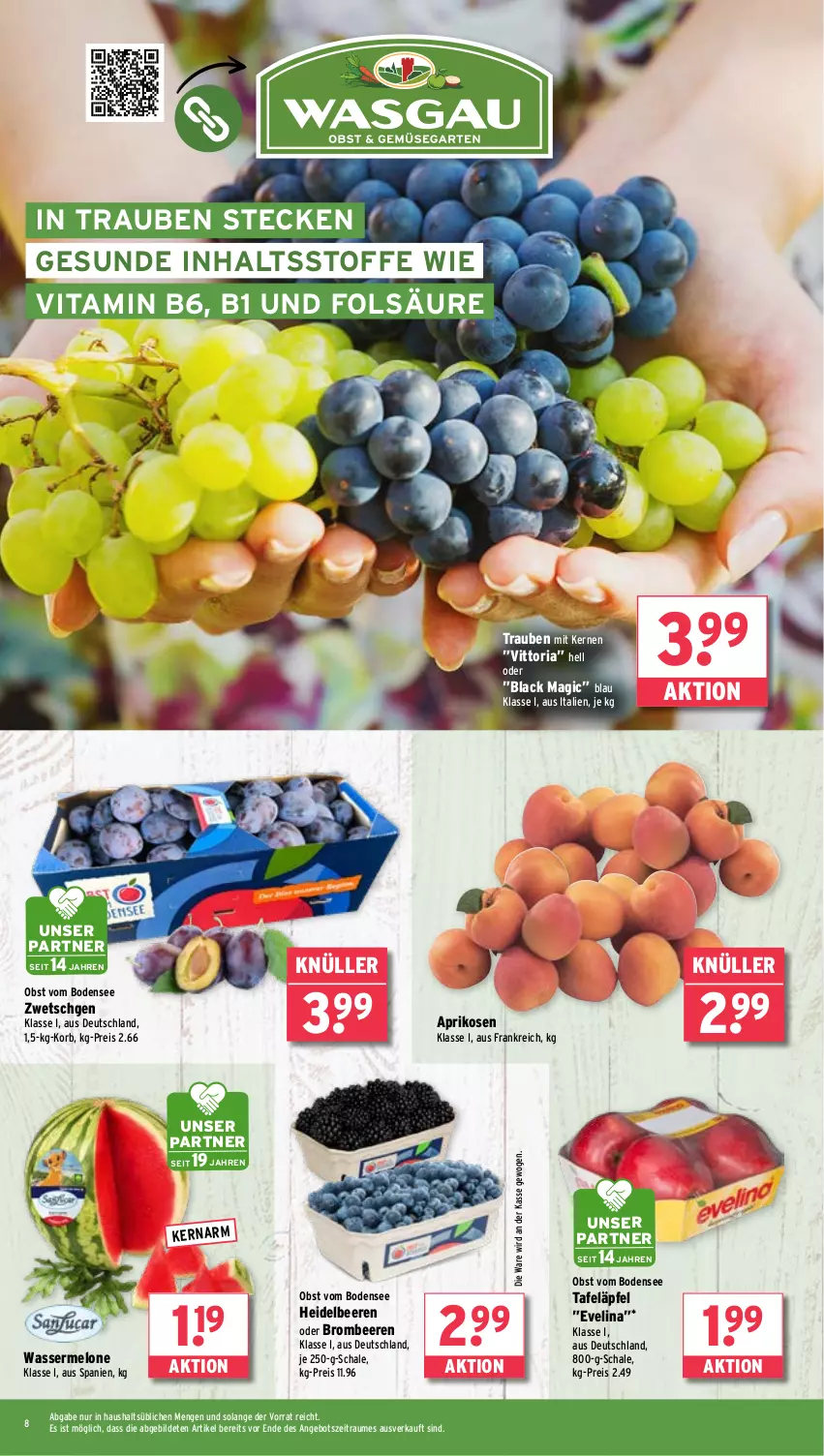 Aktueller Prospekt Wasgau - von 22.07 bis 27.07.2024 - strona 8 - produkty: angebot, aprikose, aprikosen, beere, beeren, brombeere, brombeeren, eis, heidelbeere, heidelbeeren, korb, lack, melone, obst, reis, Ria, Schal, Schale, tafeläpfel, Ti, trauben, vita, Vitamin B, wasser, wassermelone