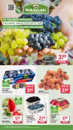 Gazetka promocyjna Wasgau - Gazetka - ważna od 27.07 do 27.07.2024 - strona 8 - produkty: angebot, aprikose, aprikosen, beere, beeren, brombeere, brombeeren, eis, heidelbeere, heidelbeeren, korb, lack, melone, obst, reis, Ria, Schal, Schale, tafeläpfel, Ti, trauben, vita, Vitamin B, wasser, wassermelone