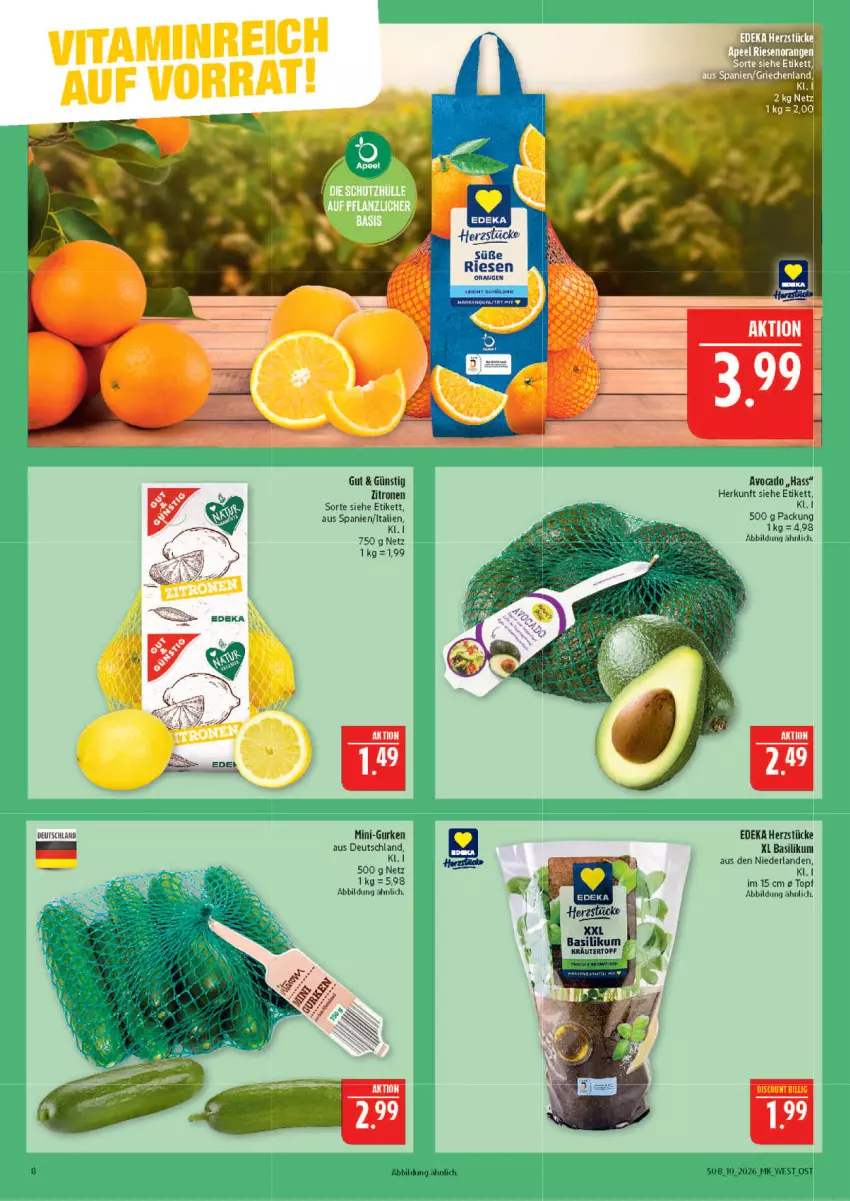 Aktueller Prospekt Marktkauf - Prospekt - von 01.03 bis 07.03.2026 - strona 8 - produkty: basilikum, deka, discount, gurke, gurken, mini-gurken, Ti, topf, zitrone, zitronen