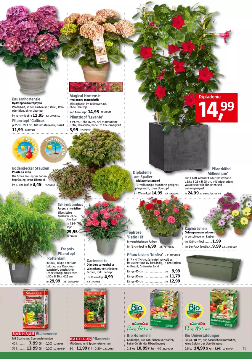 Aktueller Prospekt Bauhaus - Prospekte - von 01.04 bis 29.04.2023 - strona 19 - produkty: auer, bambus, Bau, Bauer, bio, blume, blumen, blumenerde, Blüte, Clin, decke, dip, dipladenia, dünger, ente, erde, Garten, gartennelke, hortensie, hydrangea, hydrangea macrophylla, Körbchen, Läufer, mac, mehl, natur, pflanze, pflanzerde, Pflanzkasten, Pflanztopf, Ria, stauden, Ti, topf, übertopf, wasser, Yo