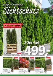 Gazetka promocyjna Bauhaus - Prospekte - Gazetka - ważna od 29.04 do 29.04.2023 - strona 18 - produkty: ACC, asus, ball, kirsch, Palette, pflanze, pflanzen, Ti, topf, vita