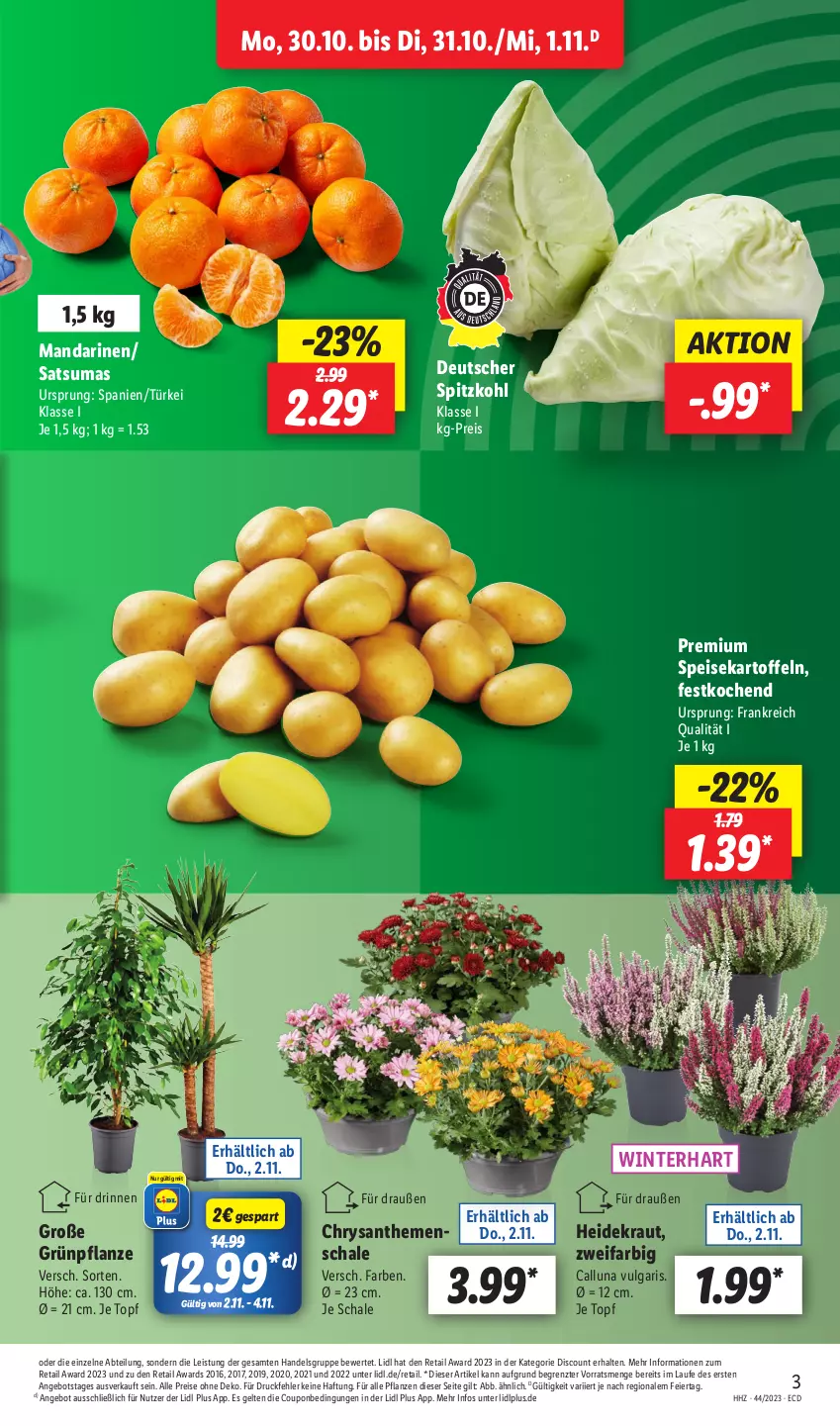 Aktueller Prospekt Lidl - Aktionsprospekt - von 30.10 bis 04.11.2023 - strona 3 - produkty: Abtei, angebot, chrysanthemen, coupon, discount, eier, eis, Heidekraut, kartoffel, kartoffeln, Kraut, LG, mandarine, mandarinen, pflanze, pflanzen, reis, Schal, Schale, speisekartoffeln, spitzkohl, Ti, topf, ZTE