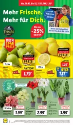Gazetka promocyjna Lidl - Aktionsprospekt - Gazetka - ważna od 04.11 do 04.11.2023 - strona 2 - produkty: angebot, auer, ball, Birnen, coupon, discount, eis, erde, frucht, kulturtopf, LG, magazin, obst, pril, reis, Ria, rosen, Ti, topf, und gemüse, zitrone, zitronen