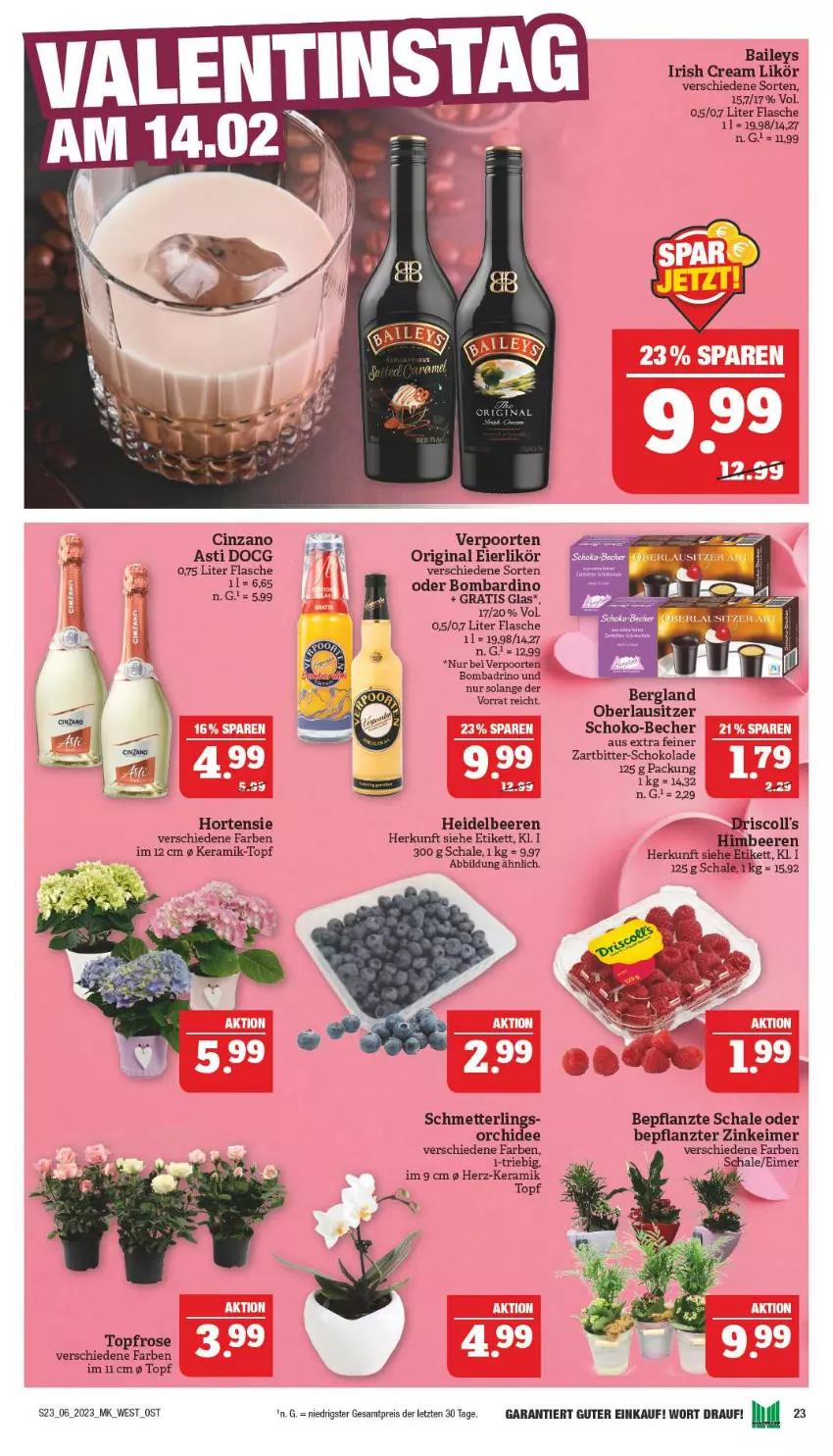 Aktueller Prospekt Marktkauf - Prospekt - von 05.02 bis 11.02.2023 - strona 23 - produkty: asti, Bad, baileys, Becher, beere, beeren, cin, cinzano, driscoll's, eier, eierlikör, eimer, eis, flasche, gin, heidelbeere, heidelbeeren, himbeer, himbeere, himbeeren, hortensie, irish cream, likör, Mett, orchidee, reis, Schal, Schale, Schmetterling, schoko, schokolade, Ti, topf, verpoorten, ZTE