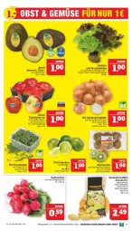 Gazetka promocyjna Marktkauf - Prospekt - Gazetka - ważna od 11.02 do 11.02.2023 - strona 11 - produkty: avocado, ball, bio, bio gemüse, cola, eis, elle, feinschmecker, Gemüsezwiebel, kartoffel, kartoffeln, kiwi, LG, limette, limetten, Mett, metten, radieschen, reis, rucola, salat, Schal, Schale, speisekartoffeln, tafeläpfel, Ti, ZTE, zwiebel, zwiebeln