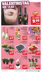 Gazetka promocyjna Marktkauf - Prospekt - Gazetka - ważna od 11.02 do 11.02.2023 - strona 23 - produkty: asti, Bad, baileys, Becher, beere, beeren, cin, cinzano, driscoll's, eier, eierlikör, eimer, eis, flasche, gin, heidelbeere, heidelbeeren, himbeer, himbeere, himbeeren, hortensie, irish cream, likör, Mett, orchidee, reis, Schal, Schale, Schmetterling, schoko, schokolade, Ti, topf, verpoorten, ZTE