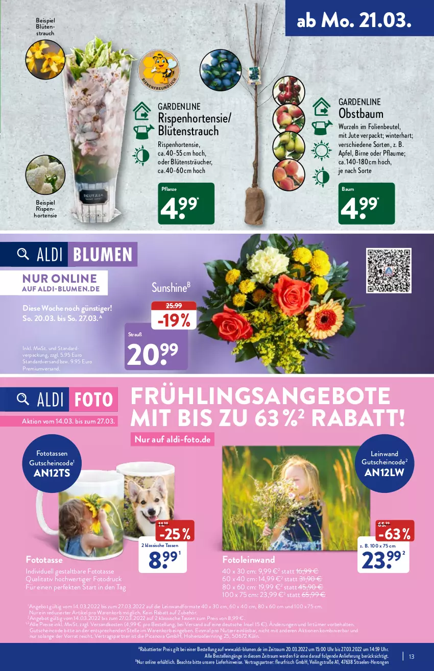 Aktueller Prospekt Aldi Nord - Aldi-Vorschau - von 21.03 bis 26.03.2022 - strona 13 - produkty: aldi, angebot, angebote, apfel, Bau, beutel, blume, blumen, Blüte, Brei, eis, elle, erde, gutschein, hero, hortensie, korb, LG, ndk, obst, pflanze, pflaume, Rauch, reis, ring, sunshine, tasse, Ti, uhr