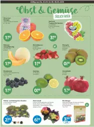 Gazetka promocyjna Vmarkt - Prospekte - Gazetka - ważna od 08.04 do 08.04.2026 - strona 4 - produkty: beere, beeren, bio, brombeere, brombeeren, dünger, eis, erdbeere, erdbeeren, fleisch, früchte, Garten, Germ, grana, Granatäpfel, kiwi, limette, limetten, melone, melonen, Mett, metten, natur, obst, orange, orangen, papier, Rana, rosen, saft, Schal, Schale, stauden, Ti, topf, trauben