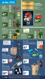 Gazetka promocyjna Aldi Nord - Aldi-Vorschau - Gazetka - ważna od 31.12 do 31.12.2021 - strona 24 - produkty: akku, aldi, asti, auer, Becher, besteck, blume, blumen, Blüte, bürste, dressing, eis, elle, erde, glücksklee, handstaubsauger, henkel, hero, im 9-cm-topf, kulturtopf, LG, lunchbox, orchidee, papier, pflanze, phalaenopsis, quigg, reis, Ria, ring, rucksack, sac, salat, sekt, Sport, staubsauger, Tasche, Teleskop, Ti, tisch, topf, transportkarre, uhr, zwiebel, zwiebeln