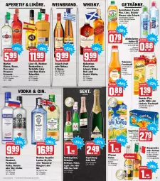 Gazetka promocyjna Hit - Prospekte - Gazetka - ważna od 19.02 do 19.02.2022 - strona 19 - produkty: adelholzener, amecke, asbach uralt, ball, bombay sapphire, Cap, capri-sun, corona, desperados, dry gin, ecco, eis, eistee, elle, flasche, frizzante, frucht, fruchtsaft, gerolsteine, gerolsteiner, getränk, getränke, gin, glasflasche, Holz, johnnie walker, kräuter, licor, licor 43, likör, limo, london dry, london dry gin, martini, Metaxa, pfanne, Pfanner, prosecco, reis, rotkäppchen, rum, russian standard, saft, säfte, sahne, sapphire, schorle, scotch, scotch whisky, sekt, skyy, Skyy Vodka, söhnlein, steiner, Tanqueray, tee, teller, Ti, valensina, vodka, wasser, wein, weinbrand, whisky