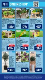 Gazetka promocyjna AldiSud - ALDI Aktuell - Gazetka - ważna od 09.04 do 09.04.2022 - strona 12 - produkty: aldi, alle artikel ohne dekoration, angebot, angebote, auer, Bau, blume, blumen, Blüte, dekoration, eis, elle, erde, fenster, gin, gliss, Holz, Kinder, knorr, kräuter, Kugel, ndk, olive, oliven, pflanze, pflanzen, reis, rwe, sekt, Spiele, Ti, topf, übertopf, uhr