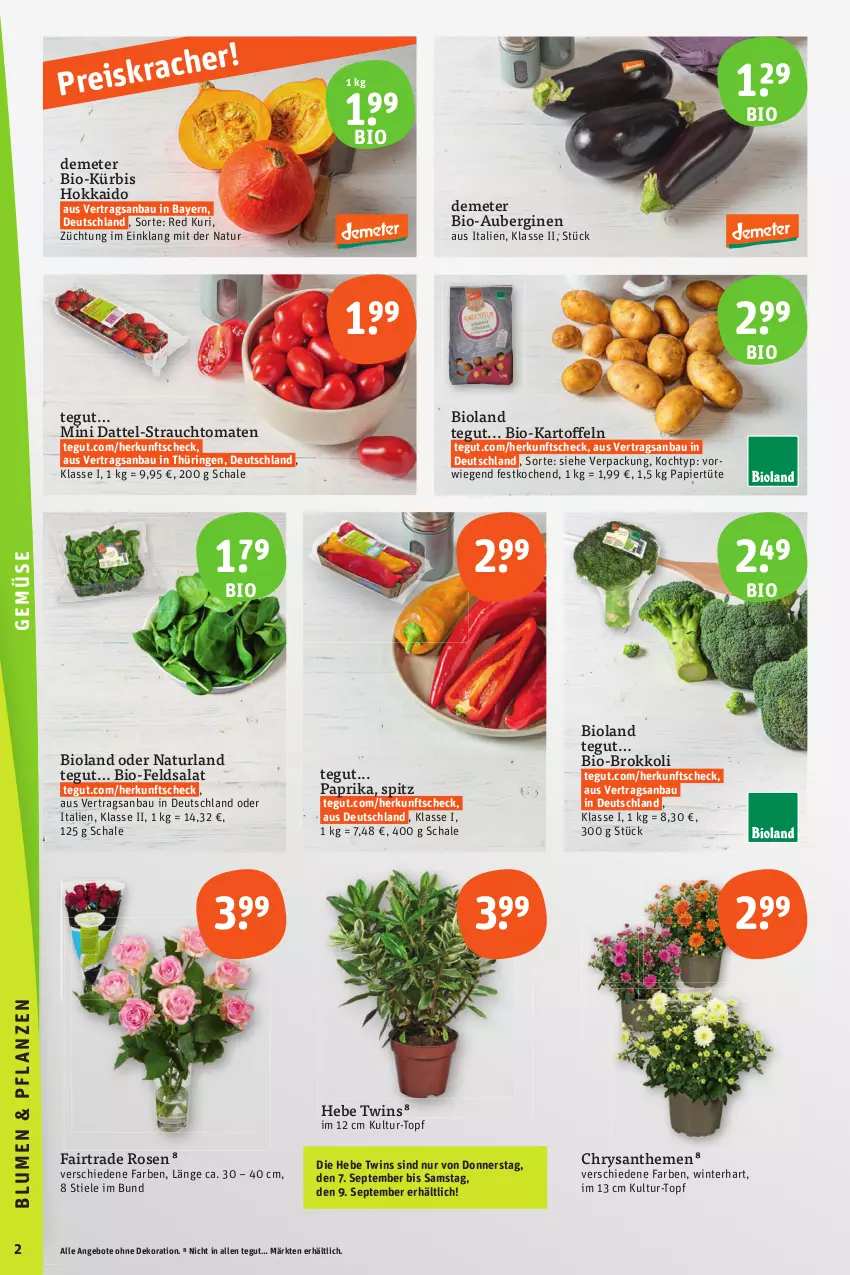 Aktueller Prospekt Tegut - Angebote der Woche - von 04.09 bis 09.09.2023 - strona 4 - produkty: angebot, angebote, aubergine, auberginen, Bau, bio, bioland, brokkoli, chrysanthemen, dekoration, eis, feldsalat, gin, kartoffel, kartoffeln, Kürbis, natur, naturland, papier, Papiertüte, paprika, Rauch, reis, ring, rosen, salat, Schal, Schale, strauchtomaten, Ti, tomate, tomaten, topf, Tüte