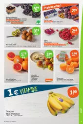Gazetka promocyjna Tegut - Angebote der Woche - Gazetka - ważna od 09.09 do 09.09.2023 - strona 5 - produkty: angebot, angebote, banane, bananen, Bau, beere, beeren, bio, Bio-Wein, Birnen, dekoration, eis, grapefruit, himbeer, himbeere, himbeeren, kiwi, korb, natur, naturland, reis, Schal, Schale, Ti, trauben, wein
