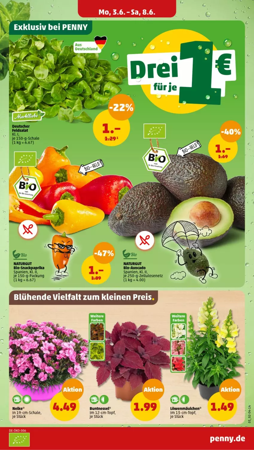 Aktueller Prospekt Penny - Prospekte - von 03.06 bis 08.06.2024 - strona 9 - produkty: avocado, bio, natur, paprika, Schal, Schale, snack, topf