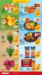 Gazetka promocyjna Penny - Prospekte - Gazetka - ważna od 08.06 do 08.06.2024 - strona 34 - produkty: bifi, chorizo, eis, fleisch, Frische Hähnchen, joghur, joghurt, jungbullen, Körbchen, marinade, medaillons, mit paprika, paprika, pizza, pute, regal, reis, rind, rinder, rinder-rouladen, rouladen, salami, Schmuck, schnitzel, snack, stockmeyer, topf, ZTE, zwiebel, zwiebeln