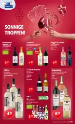 Gazetka promocyjna Getraenke Hoffmann - Prospekte - Gazetka - ważna od 23.08 do 23.08.2025 - strona 4 - produkty: Apple, auer, BRLO, burgunder, cider, dornfelder, grauer burgunder, Pinot, pinot noir, primitivo, riesling, rosato, sauvignon, sauvignon blanc, silvaner, spätburgunder, Ti, vin de france, wein, Wild