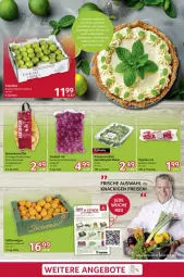 Gazetka promocyjna Selgros - Food - Gazetka - ważna od 26.02 do 26.02.2025 - strona 3 - produkty: eis, kartoffel, kräuter, mehl, minze, orange, orangen, paprika, paprika rot, reis, sac, saft, Saftorangen, Schal, Schale