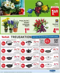 Gazetka promocyjna Edeka - Prospekte - Gazetka - ważna od 31.01 do 31.01.2026 - strona 6 - produkty: bratpfanne, decke, Deckel, deka, elle, Glasdeckel, grill, Narzissen, pfanne, schmorpfanne, tefal, teller, Ti, topf, trauben, wok, zwiebel, zwiebeln