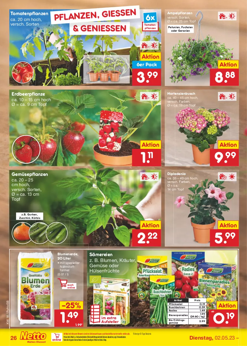 Aktueller Prospekt Netto Marken-Discount - Filial-Angebote - von 02.05 bis 06.05.2023 - strona 26 - produkty: bestpreis, bio, blume, blumen, blumenerde, bohne, bohnen, Buschbohnen, dip, dipladenia, eis, elle, Erdbeerpflanze, erde, früchte, geranie, geranien, gurke, gurken, hortensie, hortensien, hülsenfrüchte, kräuter, Kürbis, ndk, petunie, petunien, pflanze, pflanzen, reis, salat, senf, Spezi, teller, Ti, tomate, tomaten, topf, zucchini