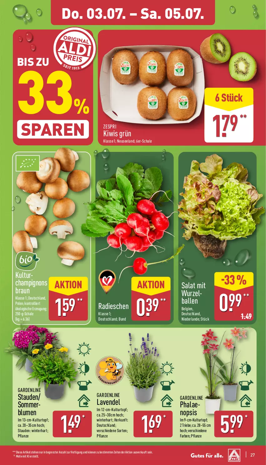 Aktueller Prospekt Aldi Nord - Von Montag - von 30.06 bis 05.07.2025 - strona 27 - produkty: ball, blume, blumen, braun, champignon, champignons, champignons braun, Elan, kiwi, kulturtopf, lavendel, LG, pflanze, phalaenopsis, radieschen, salat, Schal, Schale, stauden, Ti, topf, trolli, zespri, ZTE