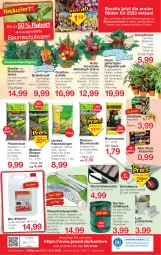 Gazetka promocyjna Jawoll - Prospekte - Gazetka - ważna od 12.11 do 12.11.2022 - strona 12 - produkty: anzünder, auer, Bau, bio, blume, blumen, blumenerde, Blüte, Brei, dekoration, drucker, dünger, eis, Engel, erde, Ficus, Garten, Holz, kerze, pflanze, rasen, rasendünger, Ria, rind, rindenmulch, rwe, sac, Schal, Schale, Ti, tisch, topf, wolle, zwiebel, zwiebeln