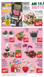 Gazetka promocyjna Marktkauf - Prospekt - Gazetka - ważna od 13.05 do 13.05.2023 - strona 6 - produkty: ball, eimer, eis, flasche, lavendel, leine, orchidee, phalaenopsis, reis, Ria, rosen, Ti, topf, ZTE