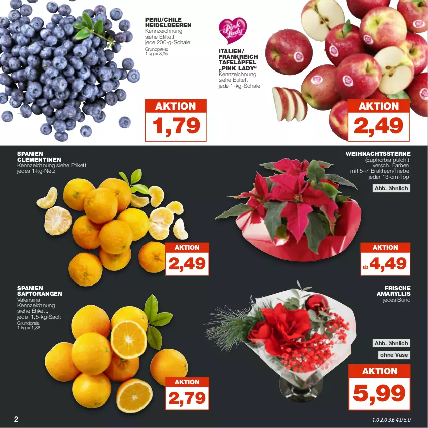 Aktueller Prospekt Real - von 21.11 bis 26.11.2022 - strona 2 - produkty: beere, beeren, clementinen, eis, heidelbeere, heidelbeeren, orange, orangen, Pink Lady, reis, sac, saft, Saftorangen, Schal, Schale, tafeläpfel, tee, Ti, topf, valensina, Vase, Weihnachtsstern