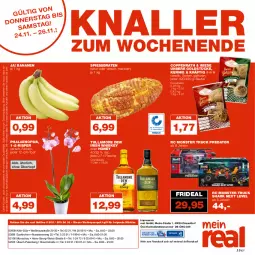 Gazetka promocyjna Real - Gazetka - ważna od 26.11 do 26.11.2022 - strona 28 - produkty: banane, bananen, beutel, bosch, braten, coppenrath, eis, elle, flasche, Goldstücke, irish whiskey, LG, Metro, monster, Monster Truck, Narzissen, natur, payback, phalaenopsis, reis, Ti, topf, tullamore, tullamore dew, übertopf, whiskey