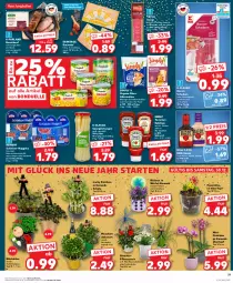 Gazetka promocyjna Kaufland - Prospekt - Gazetka - ważna od 23.12 do 23.12.2023 - strona 21 - produkty: angebot, angebote, bacon, bamboo, Bau, bbq-sauce, beef, bio, bonduelle, eis, elle, glücksklee, grill, heinz, jungbullen, Kalanchoe, Käse, katenschinken, ketchup, knoblauch, orchidee, pflanze, pflanzen, pizza, purland, reinert, reis, Ria, roastbeef, rosen, sauce, Schal, Schale, schinken, schnittkäse, sim, spargel, Speck, Sucuk, Ti, tomate, tomaten, tomatenketchup, topf, topf ø 12 cm, übertopf, würfel, wurst