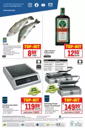 Gazetka promocyjna Metro - GastroJournal - Gazetka - ważna od 15.06 do 15.06.2022 - strona 40 - produkty: abholpreise, Abtei, angebot, angebote, aqua, auer, eis, elle, flasche, fleisch, forelle, Germ, getränk, getränke, grill, grillfläche, grillplatte, ilag, induktionskochfeld, jägermeister, kochfeld, kontaktgrill, kräuter, kräuterlikör, latte, LG, lieferservice, likör, mac, Meister, Metro, Palette, preisvorteil, Rauch, regal, reis, rel, rezept, rezepte, rwe, thermostat, Ti, timer, top-hit