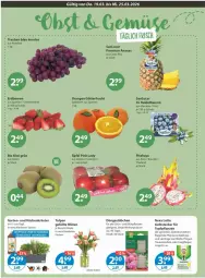 Gazetka promocyjna Vmarkt - Prospekte - Gazetka - ważna od 25.03 do 25.03.2026 - strona 4 - produkty: ananas, auer, beere, beeren, bio, Blüte, elle, erdbeere, erdbeeren, essig, frucht, Garten, heidelbeere, heidelbeeren, HP, kiwi, kräuter, küche, Küchen, Liege, nexa, Nexa Lotte, orange, orangen, pflanze, pflanzen, Pink Lady, Schal, Schale, Spezi, Ti, topf, trauben, Vase